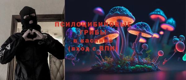 экстази Дмитриев