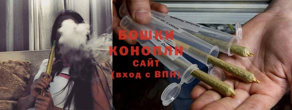 твердый Дмитров