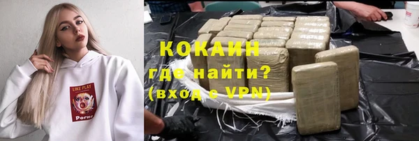 твердый Дмитров