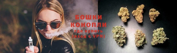 экстази Дмитриев