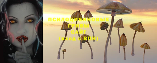 экстази Дмитриев