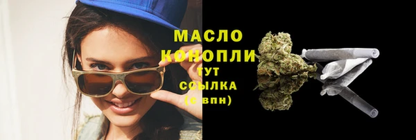 твердый Дмитров