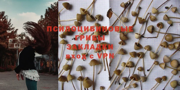 экстази Дмитриев