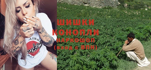 экстази Дмитриев