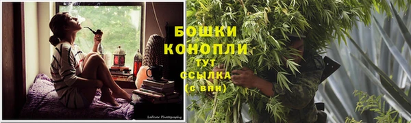 экстази Дмитриев