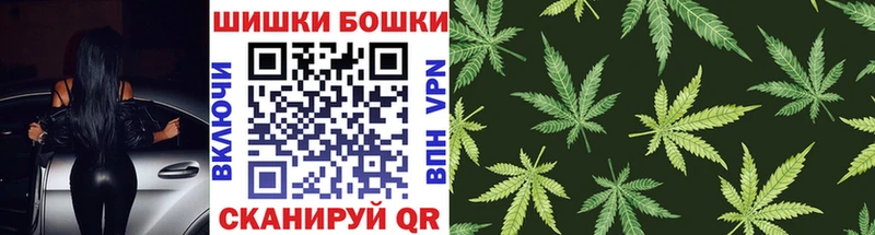 Купить где  Катав-Ивановск  Конопля семена 